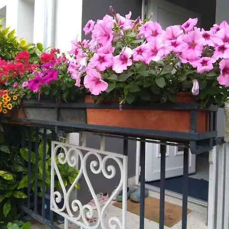 La Rose Beautiful Brand New In Souplex *
