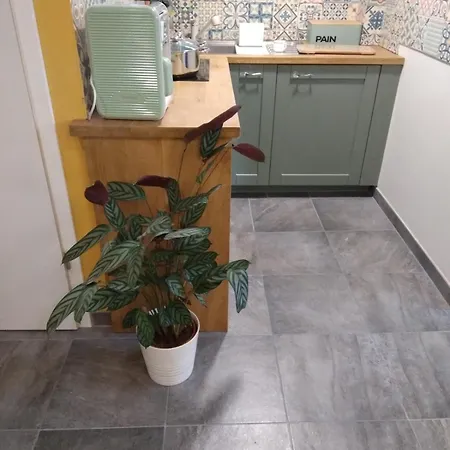 La Rose Beautiful Brand New In Souplex Apartman *