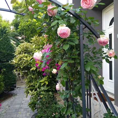 アパート La Rose Beautiful Brand New In Souplex *