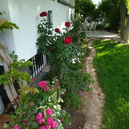 Apartman La Rose Beautiful Brand New In Souplex Strasbourg