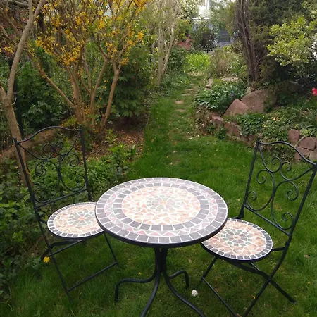 La Rose Beautiful Brand New In Souplex